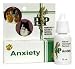 Anxiety Homeopathic Remedy