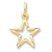 14k Diamond-cut Star Charm