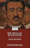 The Souls Of Black Folks