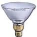 Tools & Hardware : Halogen PAR Flood Light, 90 Watt PAR 38, 120 Volt, 30° Flood