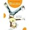Find Amazon's Top-Rated Children's Books