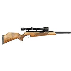D and L Airgun