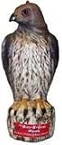 Bird-B-Gone Hawk