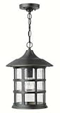 Hinkley 1802OZ Large Hanger Outdoor by Hinkley Lighting [並行輸入品]