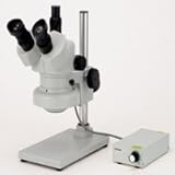 �J�[�g�� �Y�[�����̌����� DSZT-44SBF 10�{�`44�{