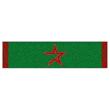HOUSTON ASTROS GOLF PUTTING GREEN CARPET RUNNER RUG