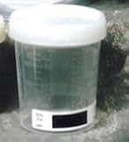 90ml Urine Cup with Temperature Strip to be used with Urine Drug Tests 90ml Urine Cup with Temperature Strip to be used with Urine Drug Tests