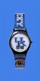 Kentucky Wildcats Fan Series Watch
