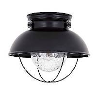 Sea Gull Sebring Outdoor Ceiling Lights - 8869-12 by Sea Gull
