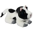 Multipet Look Who's Talking Cow Dog Toy