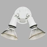 Landscape Light - Antique Bronze