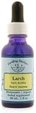 Flower Essence Healing Herbs Larch Dropper -- 1 fl oz