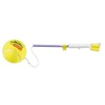 Replacement Swingball