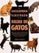 Search : Enciclopedia ilustrada de las razas de gatos / Illustrated Encyclopedia of Cat Breeds (Spanish Edition)