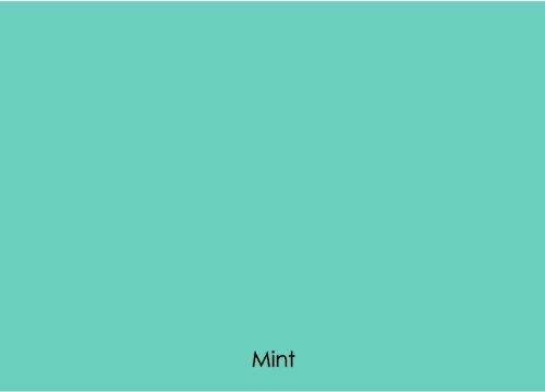 12" x 5 ft (60") Roll of Matte Oracal 631 Mint Repositionable Adhesive-Backed Vinyl for Craft Cutters, Punches and Vinyl Sign Cutters by VinylXSticker