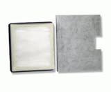 Simplicity SF-I3 S-Class HEPA Charcoal Vacuum Filter Set