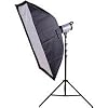Flashpoint II 320M Monolight Kit, 150 Watt Second, One Monolight Kit with 9.5' Black Light Stand and 24" x 36" Softbox