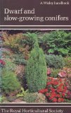 Dwarf and slow-growing conifers