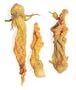 Squash Blossoms - .925 Lb Can Each
