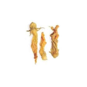 Squash Blossoms - .925 Lb Can Each