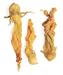 SQUASH BLOSSOMS, .925 lb. can Image