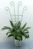 Potted Plant Trellis ~ Great for Climing Plants Pk of 8