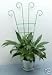 Potted Plant Trellis ~ Great for Climing Plants Pk of 8
