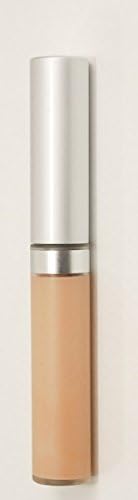 Sand Wise Disguise Concealer