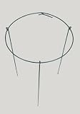 21aUfgg96VL. SL160  Plant Supports