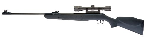 RWS .22 Pellet Model (Black Large)