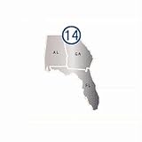 Navionics HotMaps Platinum - Chart 14 - AL FL GA - CF Card