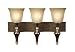 22816 - Uttermost Cordoba 3-Lt Vanity Strip
