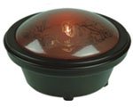Childrens Toyshop  Toys : Jurassic Fun Light Scene Projector