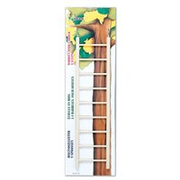 Petco 7 Step Wooden Ladder for Small Birds