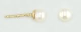 14K Yellow Gold Baby's Cultured Pearl Stud Earrings