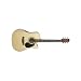 Jasmine by Takamine ES45C Acoustic Electric Guitar