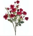 Allstate FBR839-CS-TT 21 in.Suzi ft.S Rose Bush Two Tone Crimson- Case of 12
