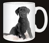 Review Advanta  / BLACK LABRADOR on Fur Coffee Mug