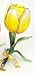 Piearth sA[X WG[{bNX NX^ Δ t[ `[bv NO220 CG[ 220-1 YL
