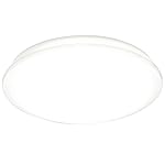 【Amazon.co.jp限定】アイリスオーヤマ LEDシーリングライト 10~12畳 調光10段階 調色11段階 全面発光 5000lm CL12DL-N1AZ