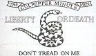 Culpeper-white Flag Polyester 3 ft. x 5 ft.