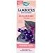 Nature's Way Sambucus Syrup, 4-Ounce