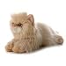 Plush Gem Golden Persian Cat Flopsie 12"