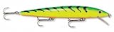Fishing: Rapala Husky Jerk