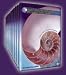 Elliott Wave Educational Video Series
