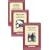 Charles Dickens: "Oliver Twist", "A Tale of Two Cities" and "Hard Times" (Collector's Library Cases)