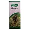 A Vogel Plantago Lanceolata Tincture 50ml