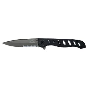 Gerber G01432 EVO, Titanium Coated, Serrated Edge Knife by 
