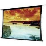 Draper Access/Series V HDTV Format - Projection screen (motorized, 110 V) - 133 in ( 338 cm ) - 16:9 - HiDef Gray - white