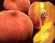 Eldorado Miniature Peach Tree Five Gallon